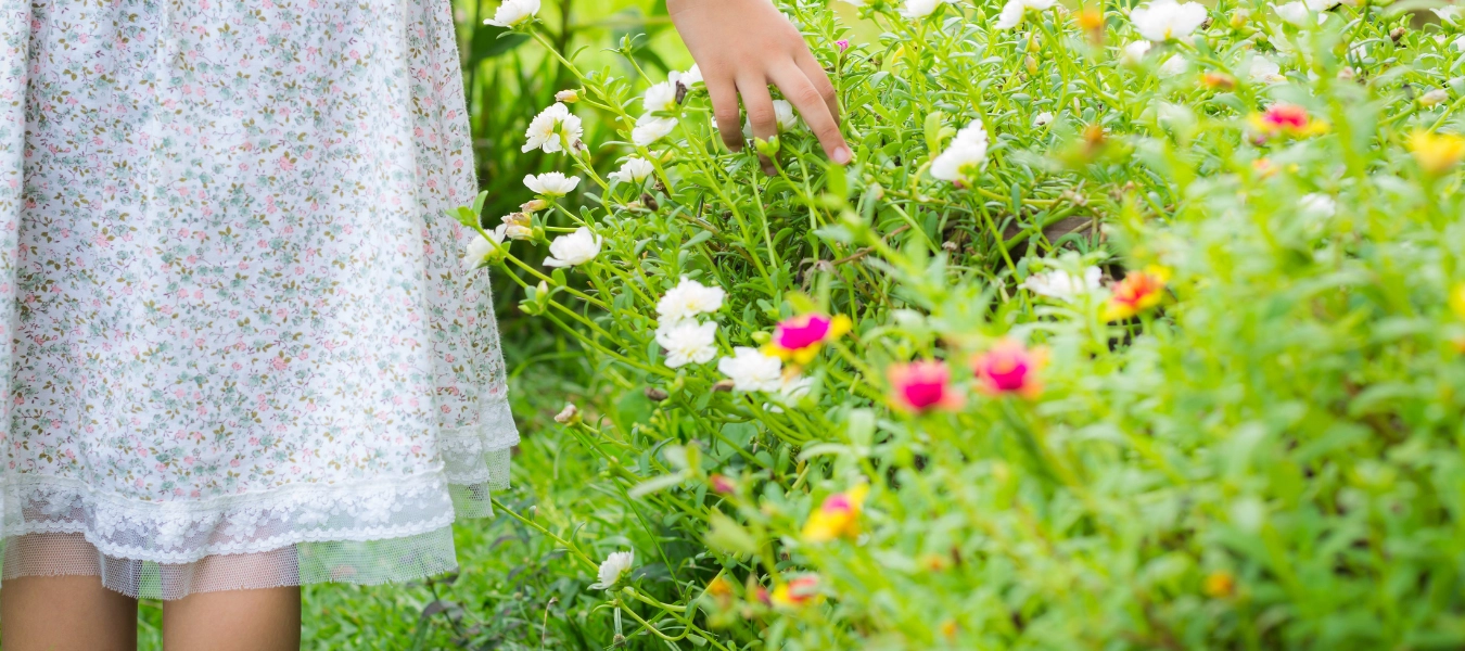 Abortion recovery care in Florida.